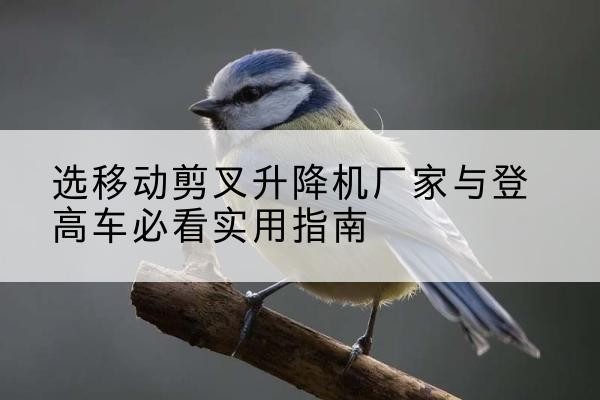 红旗电动升降机厂家-选移动剪叉升降机厂家与登高车必看实用指南