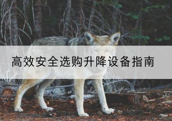 红旗升降货梯厂家推荐-*安全选购升降设备指南