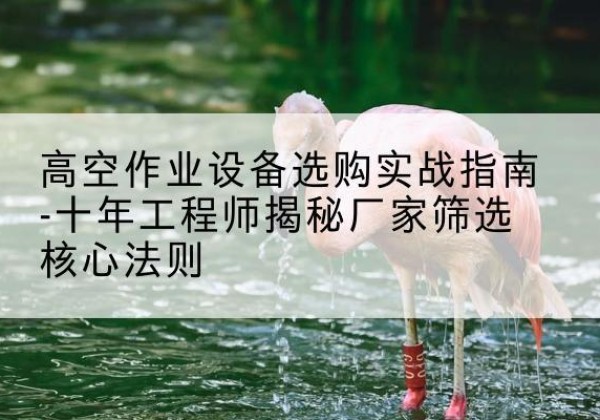 红旗剪叉式升降机厂家-高空作业设备选购实战指南-十年工程师揭秘厂家筛选核心法则